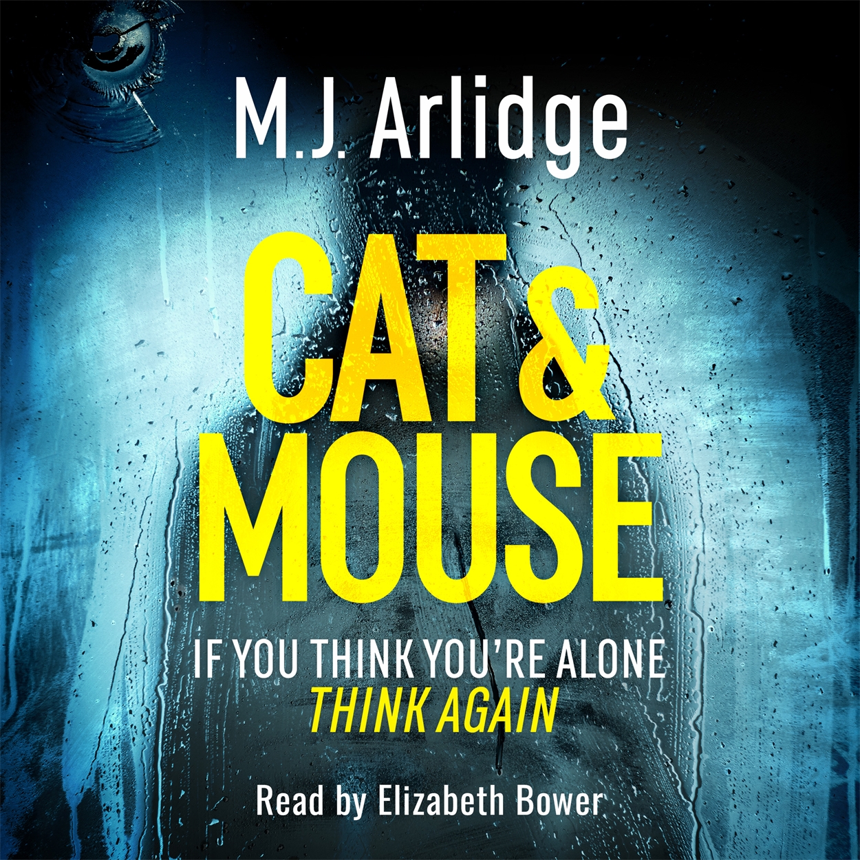 Cat And Mouse by M. J. Arlidge | Orion - Bringing You News From
